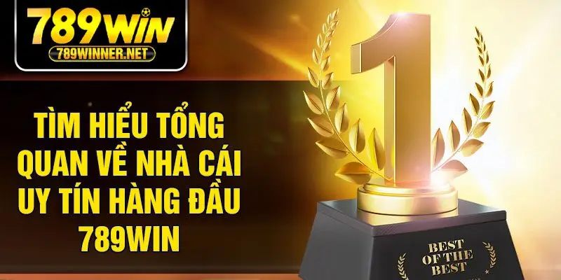 Tìm hiểu tổng quan về nhà cái uy tín hàng đầu 789Win
