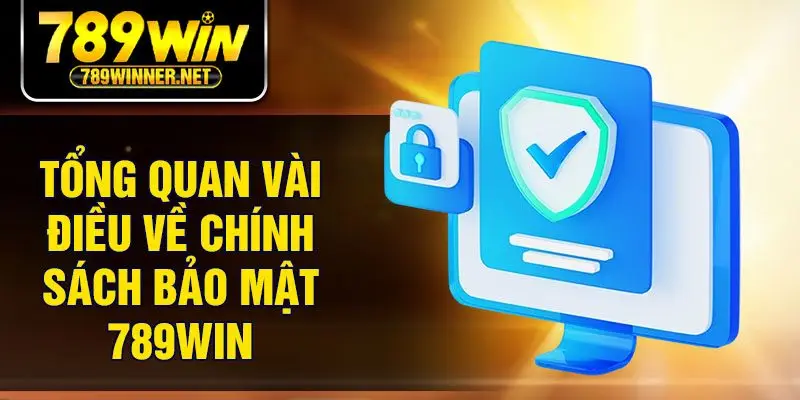 Tổng quan vài điều về chính sách bảo mật 789Win