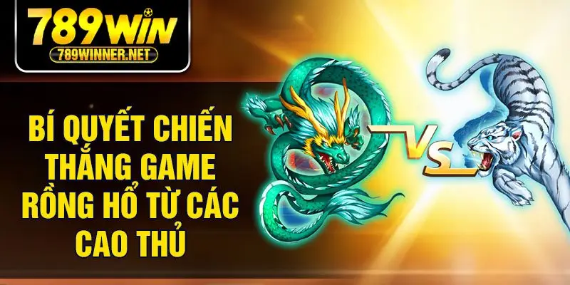 Bí quyết chiến thắng game rồng hổ từ các cao thủ