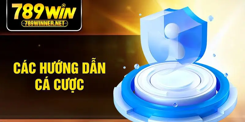 Các hướng dẫn cá cược