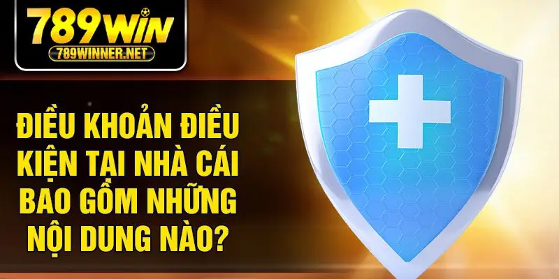 Điều khoản điều kiện tại nhà cái bao gồm những nội dung nào?