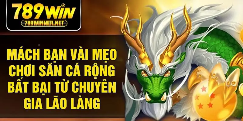 Mách bạn vài mẹo chơi săn cá rộng bất bại từ chuyên gia lão làng