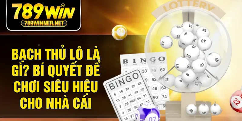 Bạch Thủ Lô Là Gì? Bí Quyết Để Chơi Siêu Hiệu Cho Nhà Cái